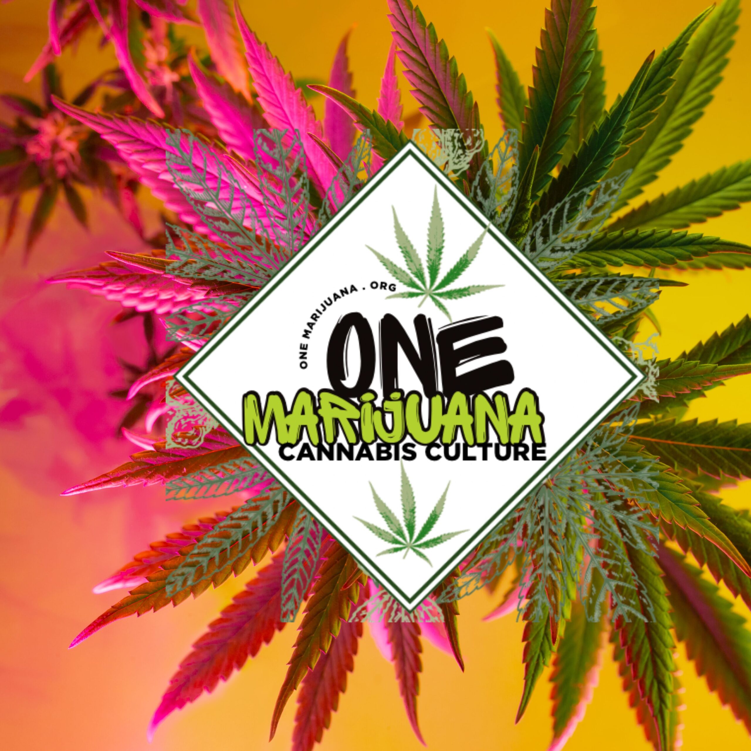 One Marijuana